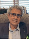 Mark Goldwasser