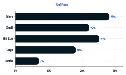 Firm Size Breakdown by Assets