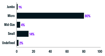 Firm Size Breakdown