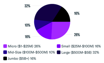 Firm Size by Assets Under Management (AUM)