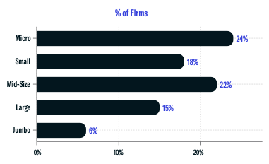 Firm Size by Assets