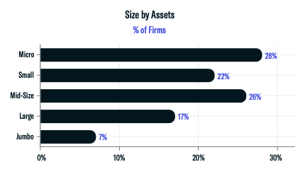 Size by Assets