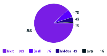 Firm Size Breakdown
