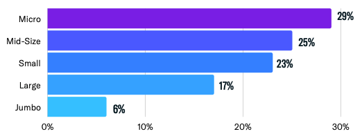 firm size breakdown by assets